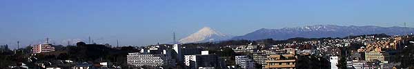 富士山を望む